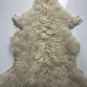 Könnte beinhalten: Cremefarbener Schaffellteppich mit dichter, lockiger Textur. Der Teppich hat eine unregelmäßige Form mit abgerundeten Kanten und einem weichen Aussehen. Die Wollfasern erzeugen eine weiche Oberfläche, geeignet für die Inneneinrichtung.