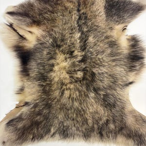 Wolfsschaffellhaut, weicher, lockiger Wollpelz, elegantes Naturfell für moderne und Küstendekoration