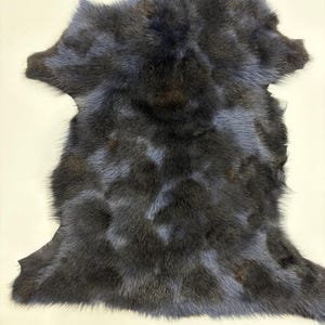 Könnte beinhalten: Ein dunkel gefärbtes Fell mit einer Mischung aus schwarzen, blauen und braunen Tönen. Das Fell hat ein dichtes, strukturiertes Aussehen, und das Fell ist unregelmäßig geformt mit einem natürlichen Rand. Der Hintergrund ist einfarbig hellcremefarben.