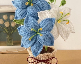 Teacher Gift – Crochet Flower Pot Bouquet – Teacher Appreciation Gift – Handmade Forever Flowers – Desk Decor- Graduation Gift