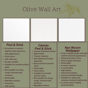 May include: An advertisement for Olive Wall Art, presenting three wallpaper types: Peel & Stick, Canvas Peel & Stick, and Non Woven Wallpaper. Each type is described, highlighting features like texture, colour, and application methods.