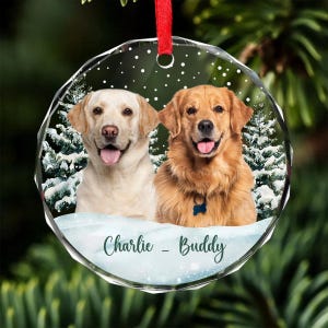 May include: A clear, round Christmas ornament featuring two dogs, a yellow Labrador and a golden retriever, with a snowy forest backdrop. The ornament has a red ribbon for hanging and the names "Charlie - Buddy" are written on the bottom.