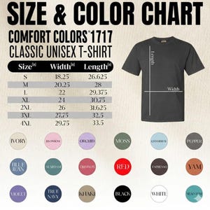 Camiseta Frozen Elsa Anna Olaf Comfort Colors, Ropa para viaje familiar de princesas imagen 9