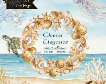 Coastal Clipart Pack | Gold Seashells, Ocean Florals (Digital Download)