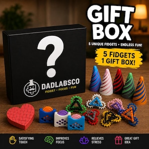 May include: A black gift box with a white question mark and the text DADLABSCO FIDGET FOCUS FUN. Beside the box are five colorful cone-shaped fidgets and several small gear-based fidget toys in various colors, including a red heart-shaped block.