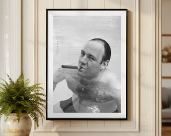 Vintage James Gandolfini cigarrpool-tryck, Sopranos svartvit konstfotografi väggkonst, ikonisk TV-serieaffisch, filmskådespelare