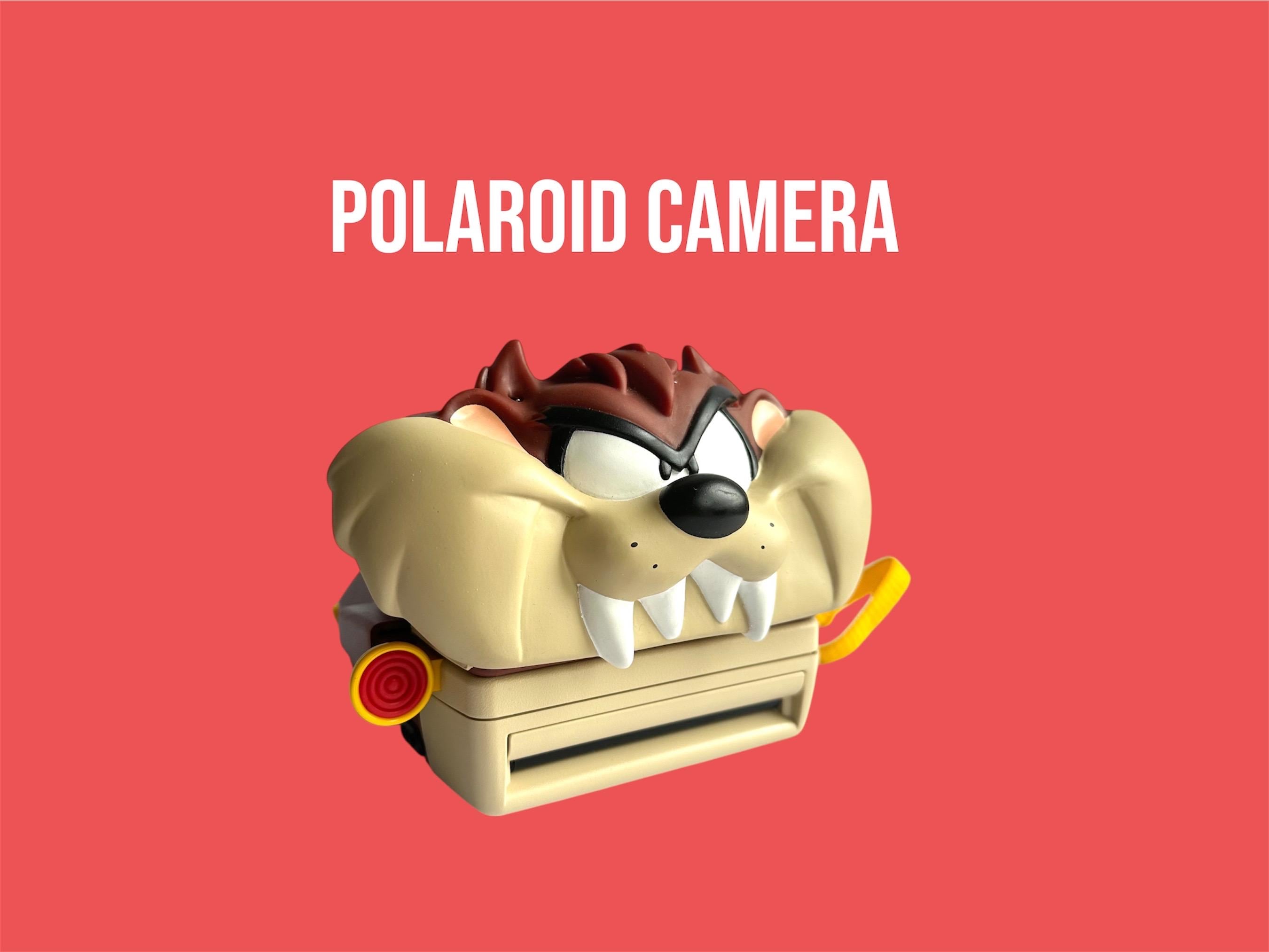Polaroid Taz Camera - Etsy
