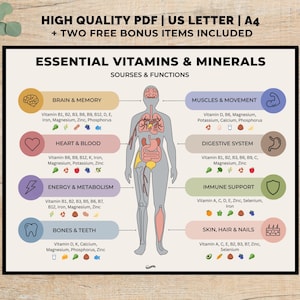 May include: A nutritional poster titled "Essential Vitamins & Minerals" with a diagram of the human body. The poster lists sources and functions of vitamins and minerals, including brain & memory, heart & blood, and bones & teeth. Includes text: "HIGH QUALITY PDF | US LETTER | A4 + TWO FREE BONUS ITEMS INCLUDED."