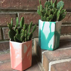 May include: Two geometric planters with cacti. One planter is coral with white accents, the other is white with teal accents. The cacti are green with small, light-colored spots. The planters are on a brick surface.