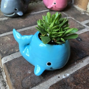 Whale Planter