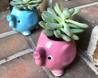 Elephant Planter