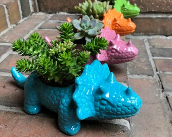 Triceratops Planter