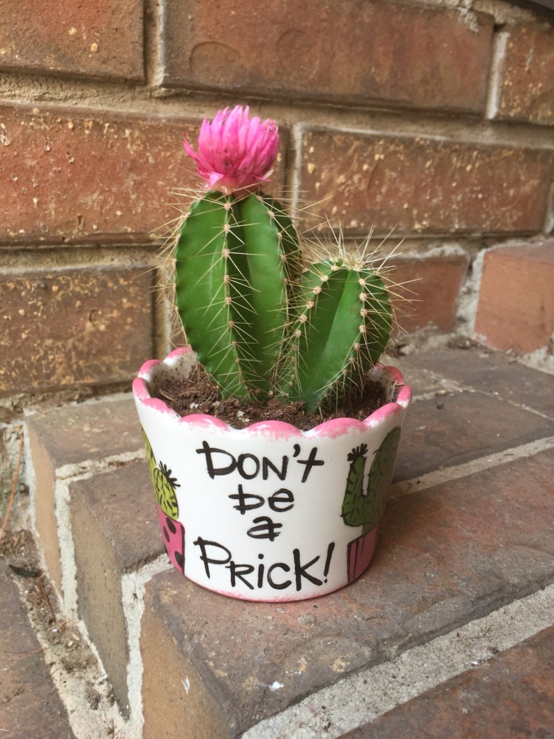 cute resin cactus planter