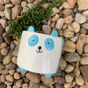 May include: White ceramic planter shaped like a cartoon animal with blue eyes, nose, and ears. The planter is sitting on a bed of small brown and gray rocks.