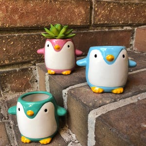 Penguin Succulent Planter image 2