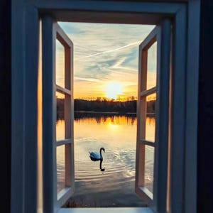 May include: A white window frame opens to a serene sunset over a lake. A swan floats on the water, reflecting the golden light. The sky is a mix of orange, yellow, and blue, with a few clouds.