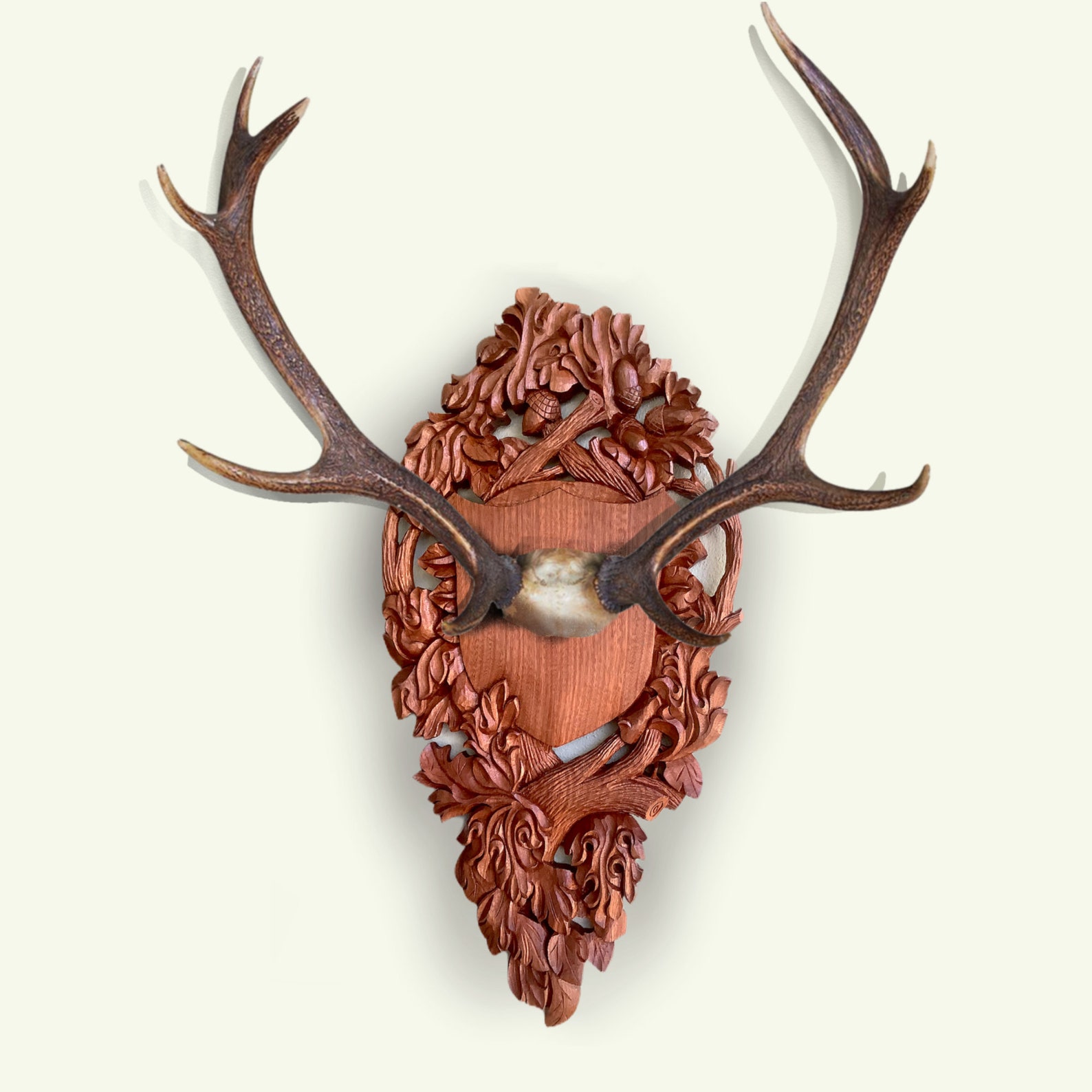 Large Mahogany Wood-carved Taxidermy Plaque for Antlers, Unique
