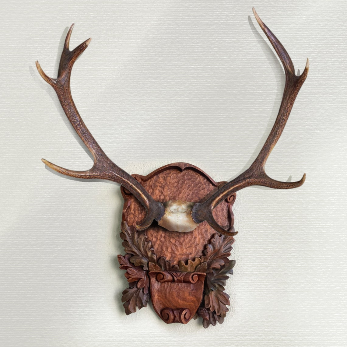 Wood-carved Taxidermy Plaque Unique Craftsmanship 100% - Etsy