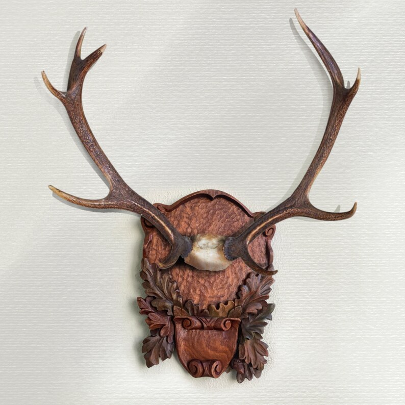 Woodcarved Taxidermy Plaque for Antlers Unique Etsy