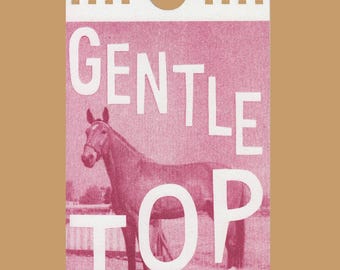 Limited Edition Queer Pferde-kalender