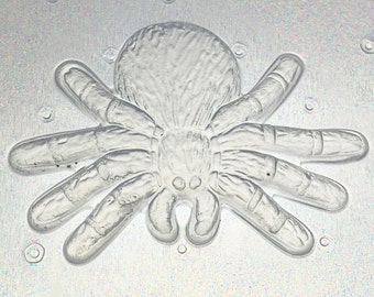 Spider Tarantula Plastic Mold