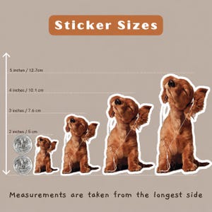May include: Four stickers of a brown dachshund puppy wearing white wired headphones, arranged by size. A vertical scale shows heights from 2 inches to 5 inches. Text reads Sticker Sizes and Measurements are taken from the longest side.