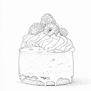May include: A detailed black and white illustration of a small cake. The cake is topped with whipped cream and fresh raspberries. The cake has a round shape and a textured base, with a white glaze dripping down the sides.