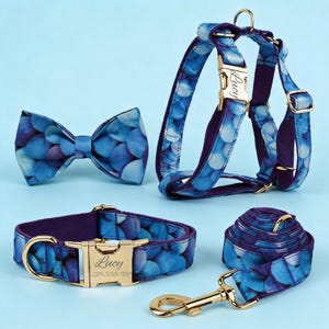 Puede incluir: Un conjunto de accesorios para mascotas con un diseño de escamas azules y moradas. El conjunto incluye una pajarita, un arnés, un collar y una correa. El collar y el arnés tienen hebillas doradas con el nombre "Lucy" grabado. La correa tiene un mosquetón dorado.