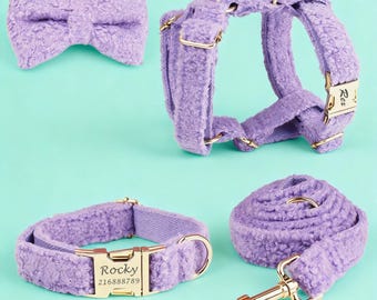 Personalized Teddy Purple Dog Collar, Leash, Bowtie Harness Set, Engraved Buckle, Adjustable Durable