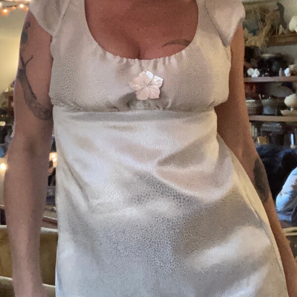 Two Piece Empire Waist Laced Sheer Dress and Panty