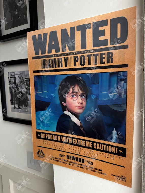 3D Lenticular Poster | Harry Potter Poster | Ron Weasley, Hermione