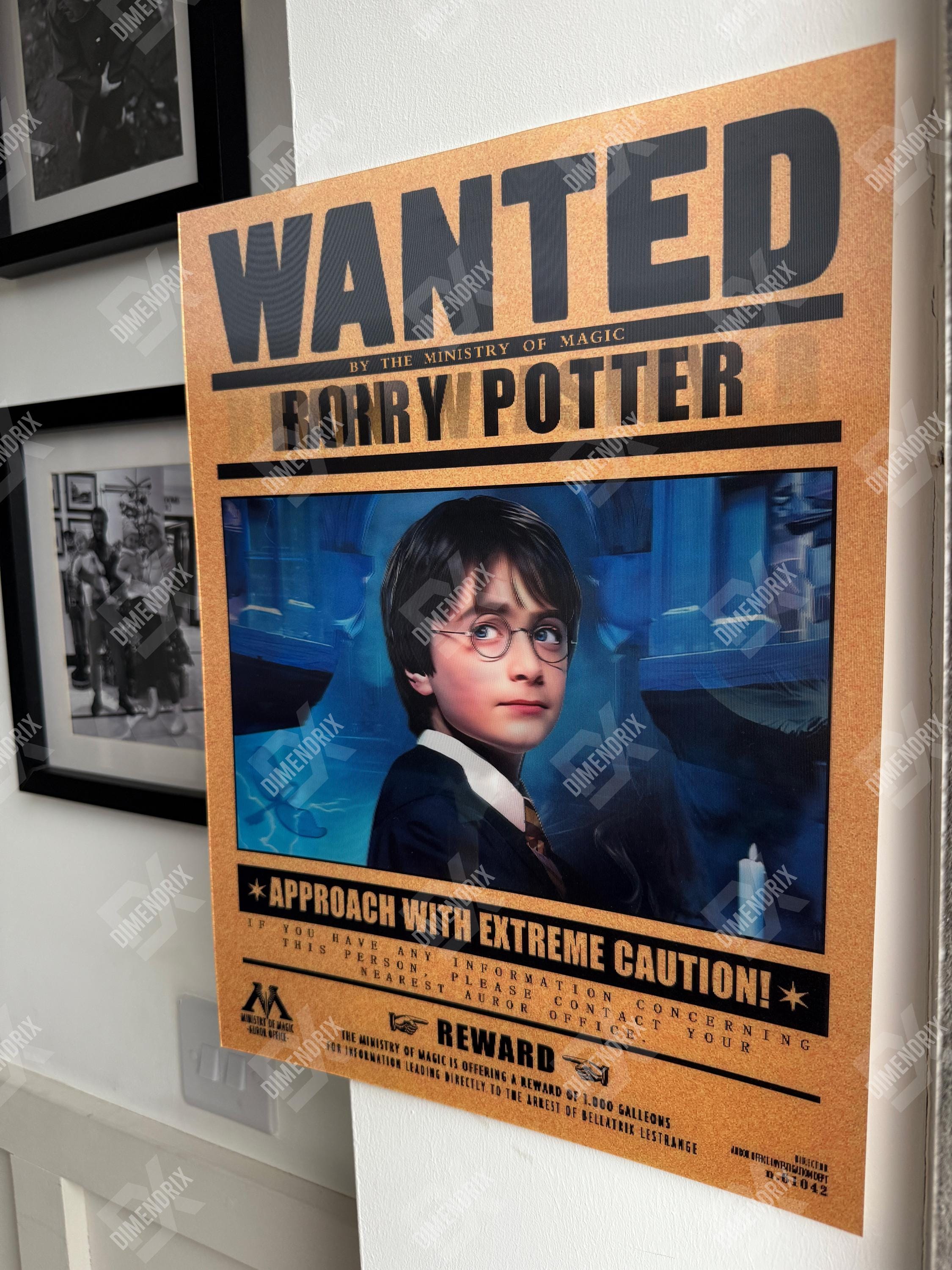 3D Lenticular Poster | Harry Potter Poster | Ron Weasley, Hermione