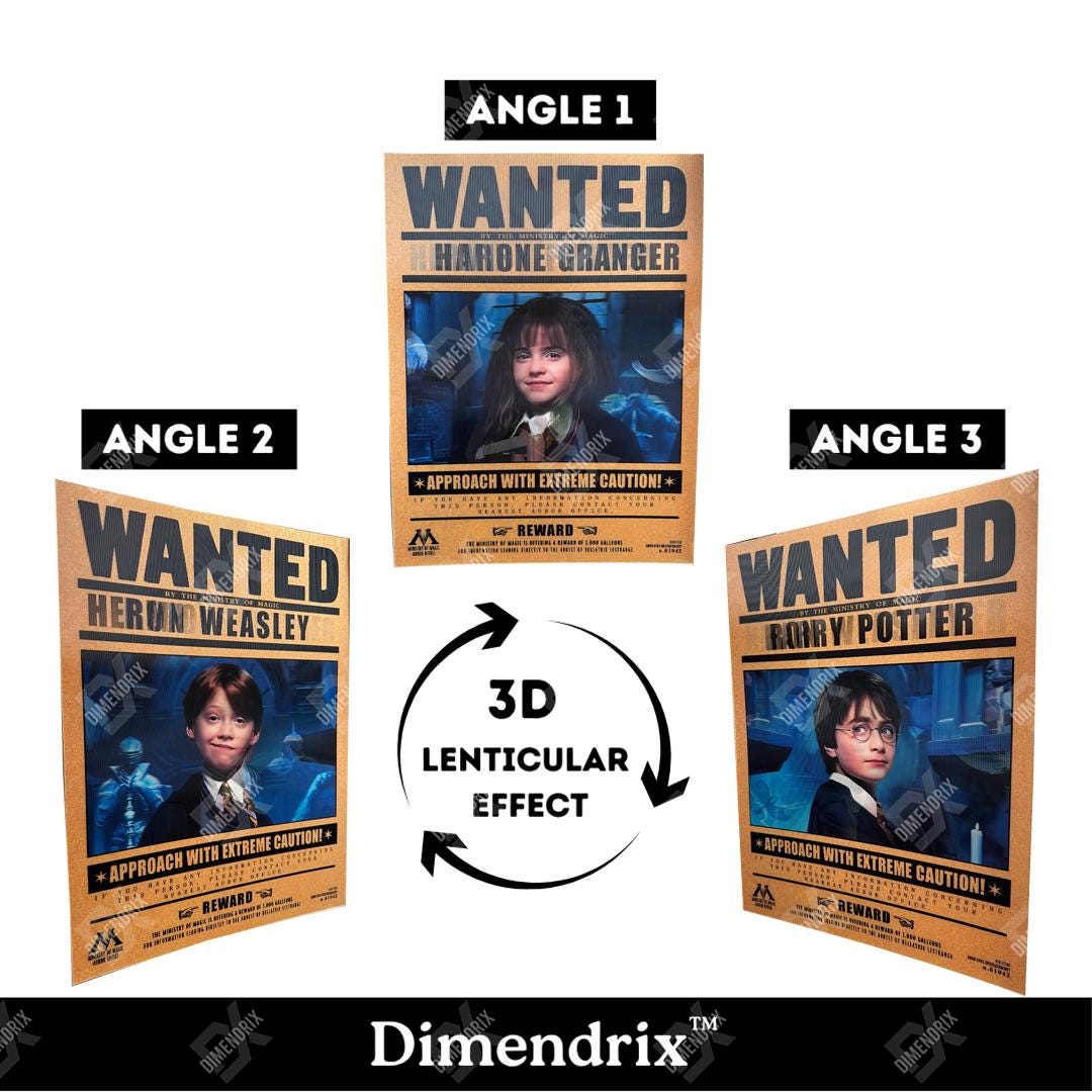 3D Lenticular Poster | Harry Potter Poster | Ron Weasley, Hermione