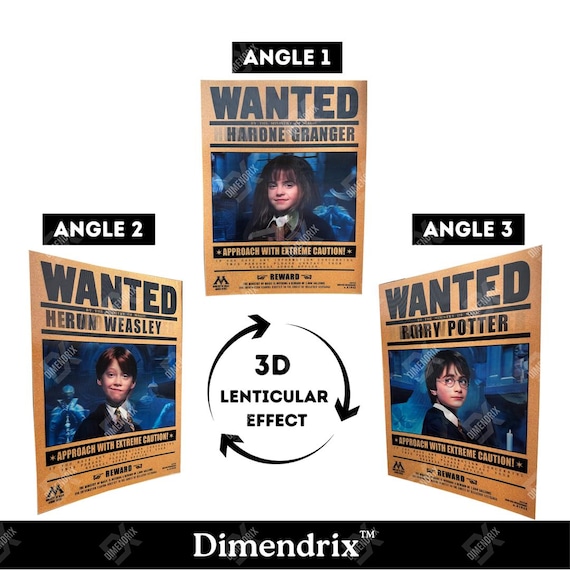 3D Lenticular Poster | Harry Potter Poster | Ron Weasley, Hermione