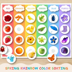 May include: A vibrant educational chart for children, showcasing a spring rainbow colour sorting activity. The chart displays various objects categorised by colour, including a red rose, orange carrots, yellow bird, green frog, blue beetle, and purple flower.