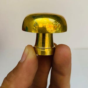 Peut inclure: Un bouchon de bouteille doré en forme de champignon. Le bouchon a un dessus arrondi et une base cylindrique. Le métal reflète la lumière, créant un aspect brillant. Le bouchon est tenu entre les doigts sur un fond uni.