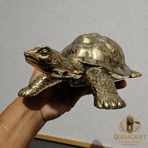 Puede incluir: Una figura de tortuga de latón con un acabado pulido. La escultura tiene detalles, incluyendo un caparazón texturizado y extremidades realistas. La tortuga se sostiene en una mano, mostrando su tamaño y artesanía. Es un artículo decorativo.