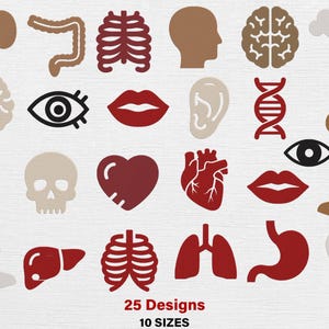 May include: A selection of 25 human anatomy designs, such as a brain, heart, and eye, in various colours. The image includes the text "25 Designs" and "10 SIZES" at the bottom.