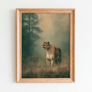 Puede incluir: Impresión enmarcada que presenta un puma en su hábitat natural. La obra de arte muestra al gran felino de pie en hierba alta, con un fondo de bosque brumoso. El marco es de madera clara, añadiendo un toque rústico a la escena de la vida silvestre.