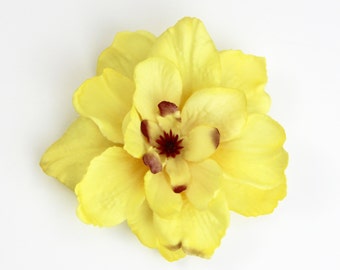 May include: A single yellow flower with a maroon center. The flower has multiple petals and is isolated on a white background.