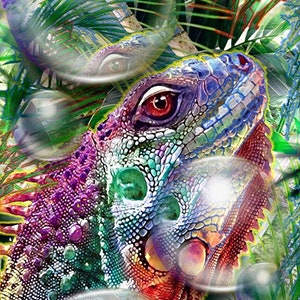 Rainbow Iguana Bubbles Giclee Canvas Wall Art
