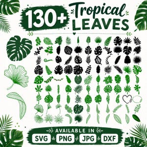 May include: A digital collection of over 130 tropical leaf illustrations in green and black. The image features various foliage shapes, including monstera, palm, and fern designs, with the text 130+ Tropical Leaves and Available in SVG PNG JPG DXF.