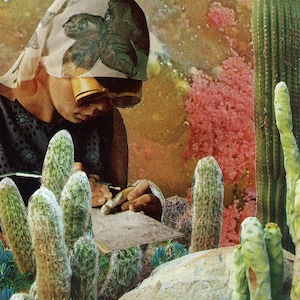 Puede incluir: Un collage que muestra a una persona trabajando con cactus. La persona lleva un pa&ntilde;uelo estampado y gafas de sol, concentrada en un peque&ntilde;o objeto cuadrado. Varios cactus, incluyendo altos y verdes y otros m&aacute;s peque&ntilde;os y peludos, est&aacute;n en primer plano, con un fondo abstracto y colorido.