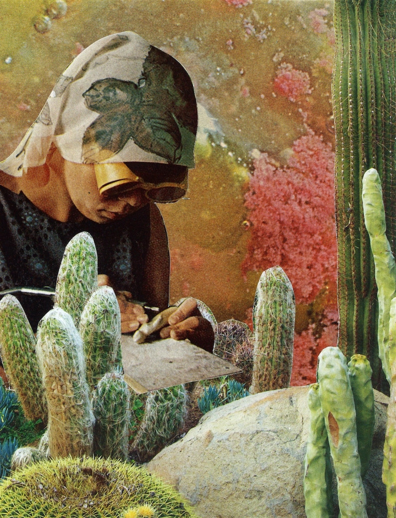 Puede incluir: Un collage que muestra a una persona trabajando con cactus. La persona lleva un pa&ntilde;uelo estampado y gafas de sol, concentrada en un peque&ntilde;o objeto cuadrado. Varios cactus, incluyendo altos y verdes y otros m&aacute;s peque&ntilde;os y peludos, est&aacute;n en primer plano, con un fondo abstracto y colorido.