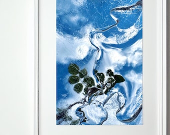 Ice Botanical Photography Print – Frozen Botanical Art, Winter Nature Macro, 4×5 Digital Download