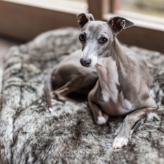 Faux-fur Dog Blanket in Wolf Grey - Etsy
