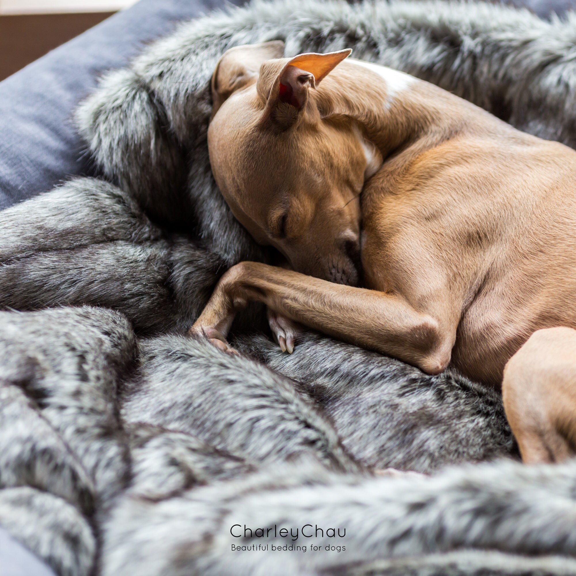 Faux-fur Dog Blanket in Wolf Grey - Etsy
