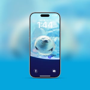 Könnte beinhalten: Eine weiße Keramik-Tasse mit schwarzem Henkel und dem Text "But First, Coffee" in fetter, schwarzer Schrift. Die Tasse steht vor einem verschwommenen Hintergrund, der eine gemütliche Umgebung andeutet.