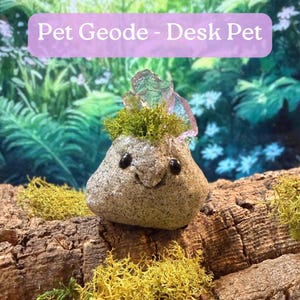 Peut inclure: Un géode de bureau fantaisiste avec un visage souriant, des yeux noirs et une touffe de mousse verte. La géode est ornée de cristaux translucides et colorés. Le texte "Pet Geode - Desk Pet" est affiché sur une bannière lavande.