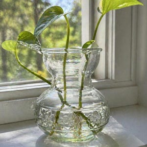 May include: A clear glass vase with a decorative floral pattern, holding green-stemmed plants with vibrant green and yellow leaves. The vase is filled with water and sits on a windowsill, with a blurred outdoor background.
